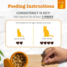 Cat calming bite treats feeding instructions with bowl of chew bites and hand feeding