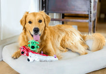 Plush dog loofa toy with green and white snowflake print on a couch with dog