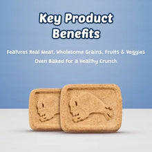 Beige baked dog treat biscuits, two pieces