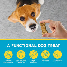 Hand holding a bone-shaped beef dog treat while a dog looks on