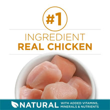 Dry cat food bag panel with real chicken ingredient graphic and #1 seal