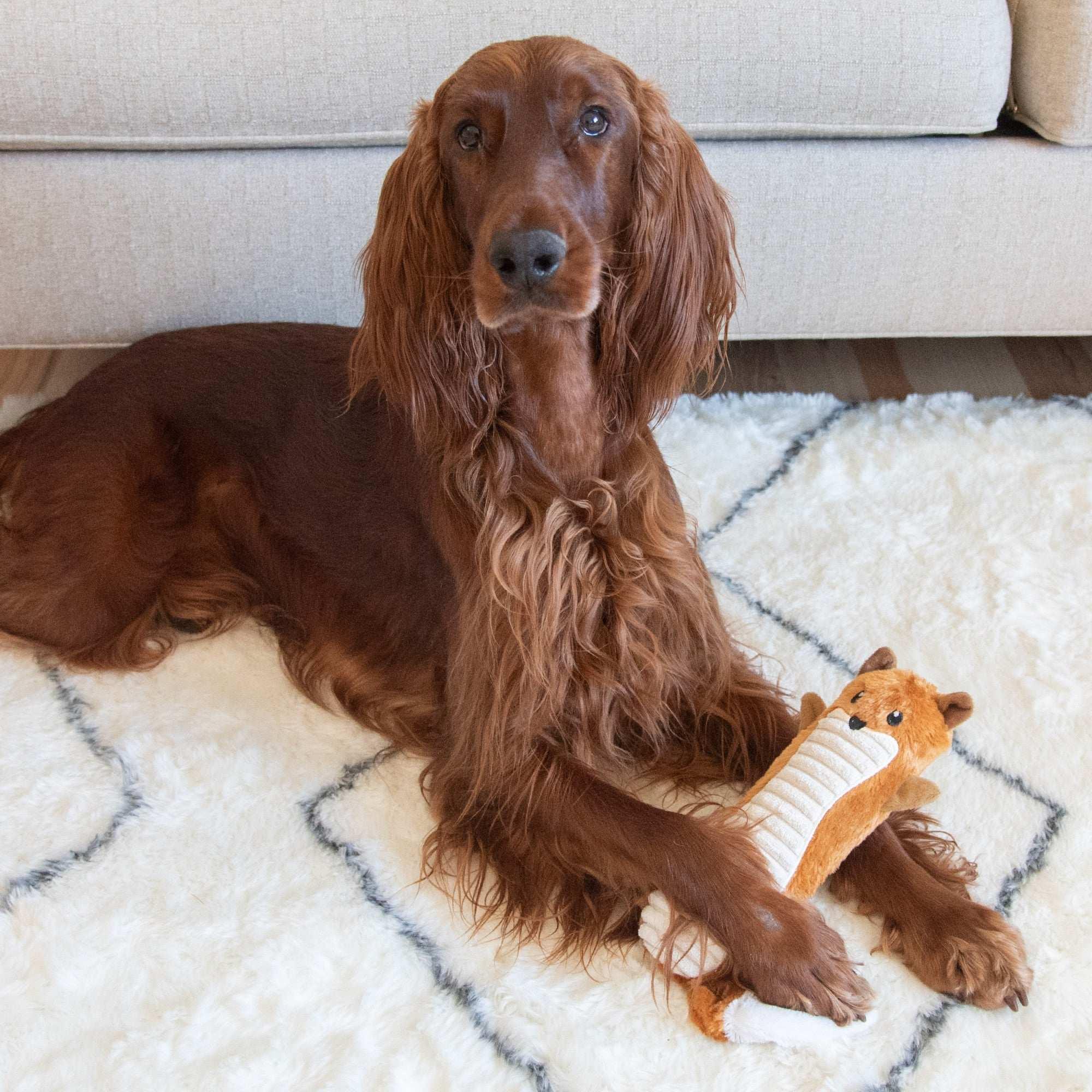 Outward Hound Stuffing-Free Big Squeak Fox Plush Dog Toy, Orange, Medium - USA MEGA SHOP