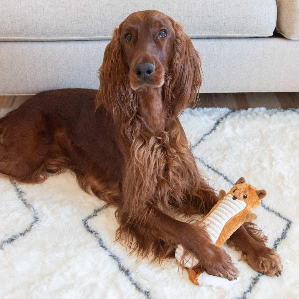 Outward Hound Stuffing-Free Big Squeak Fox Plush Dog Toy, Orange, Medium - USA MEGA SHOP