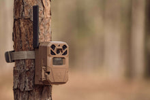 Tan trail camera strapped to a tree trunk with antenna upright
