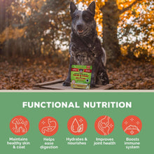 Dog with Brutus Bone Broth Skin & Coat pouch outdoors