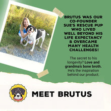 Meet Brutus branding on Skin & Coat broth pouch with co-founder story