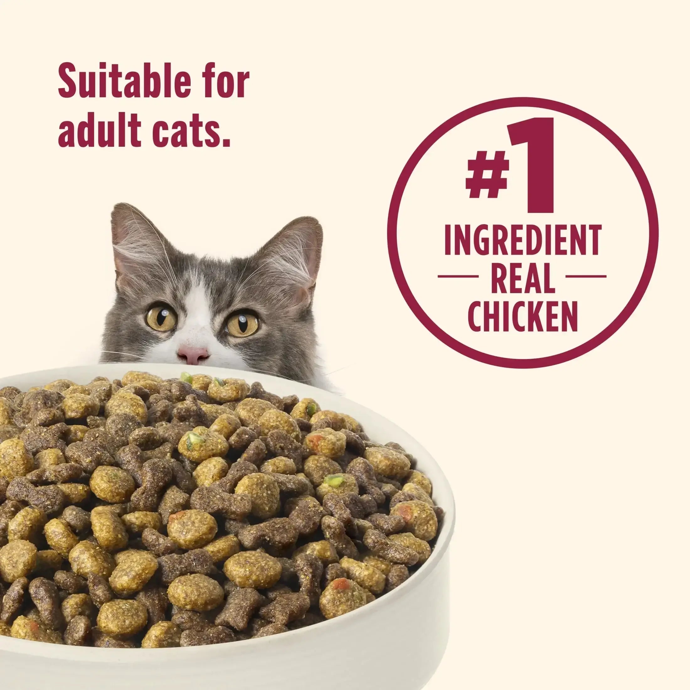 Nutrish Everyday Digestion Chicken Brown Rice and Salmon Recipe with Veggies Dry Cat Food, 13lb Bag - USA MEGA SHOP