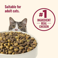 Bowl of dry cat food kibble with adult cats badge for real chicken ingredient