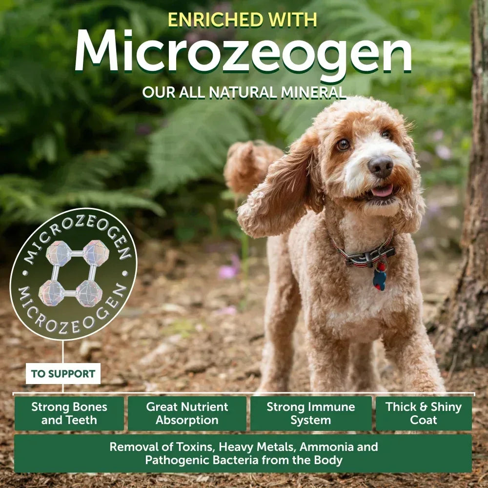 Nature's Protection Superior Care Grain Free Salmon Dry Dog Food, All Breed All Life Stages, 22 lb Bag - USA MEGA SHOP
