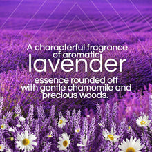 Lavender fragrance graphic with lavender flowers and chamomile accents