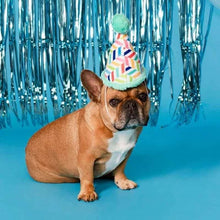Party hat plush dog toy with striped design and green pom