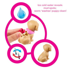 Dog washing accessory set with puppy figure and water droplet graphic icons
