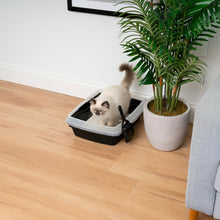 Open-top cat litter box with scoop, light blue rim and black pan, white cat pawing