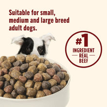 Dry dog food kibble in bowl with #1 ingredient real beef, suitable adult dogs