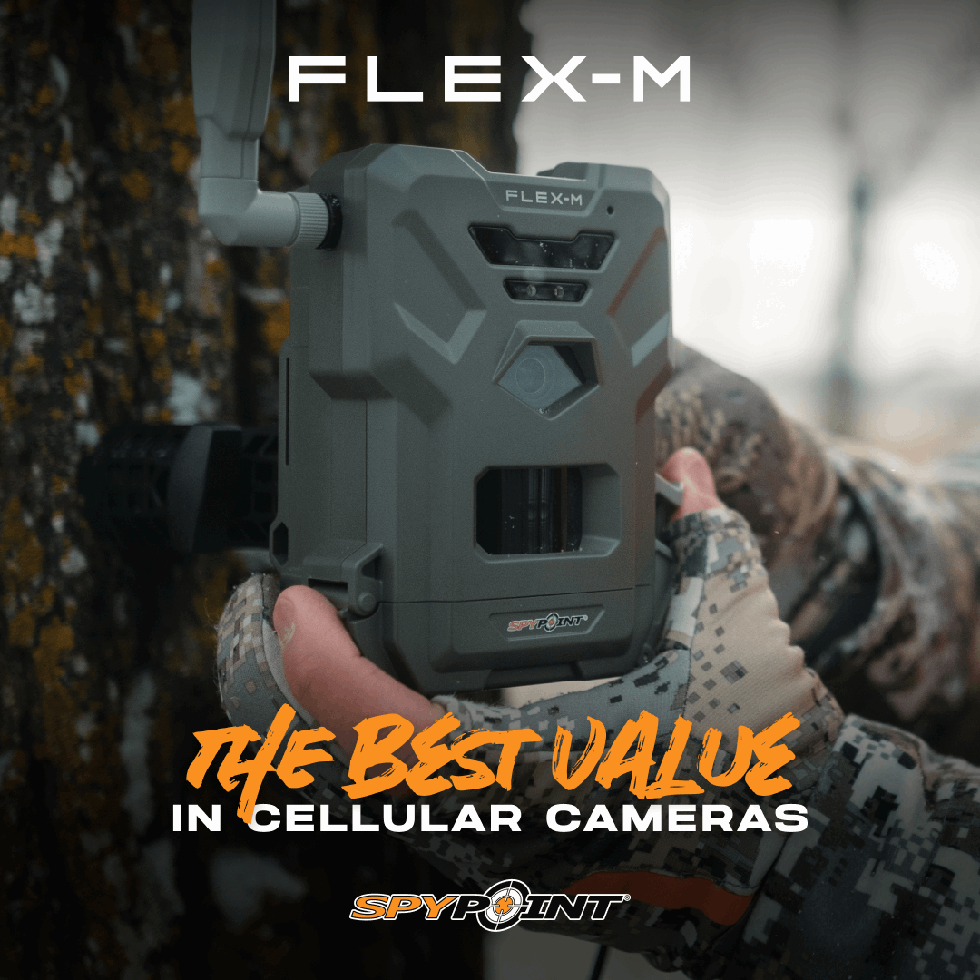 SPYPOINT Flex-m Cellular Trail Camera, 28MP Photos, 720p Video with Sound, Night Vision, Motion Activated, Dual-SIM LTE, 1 pack