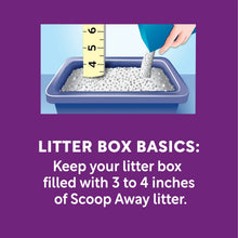 Litter box basics panel showing fill guidance: keep box with 3 to 4 inches