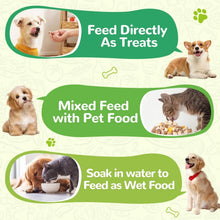Freeze-dried pet treat product infographic with dogs and cats illustration