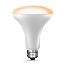 Feit smart LED bulb with frosted white diffuser and E26 screw base