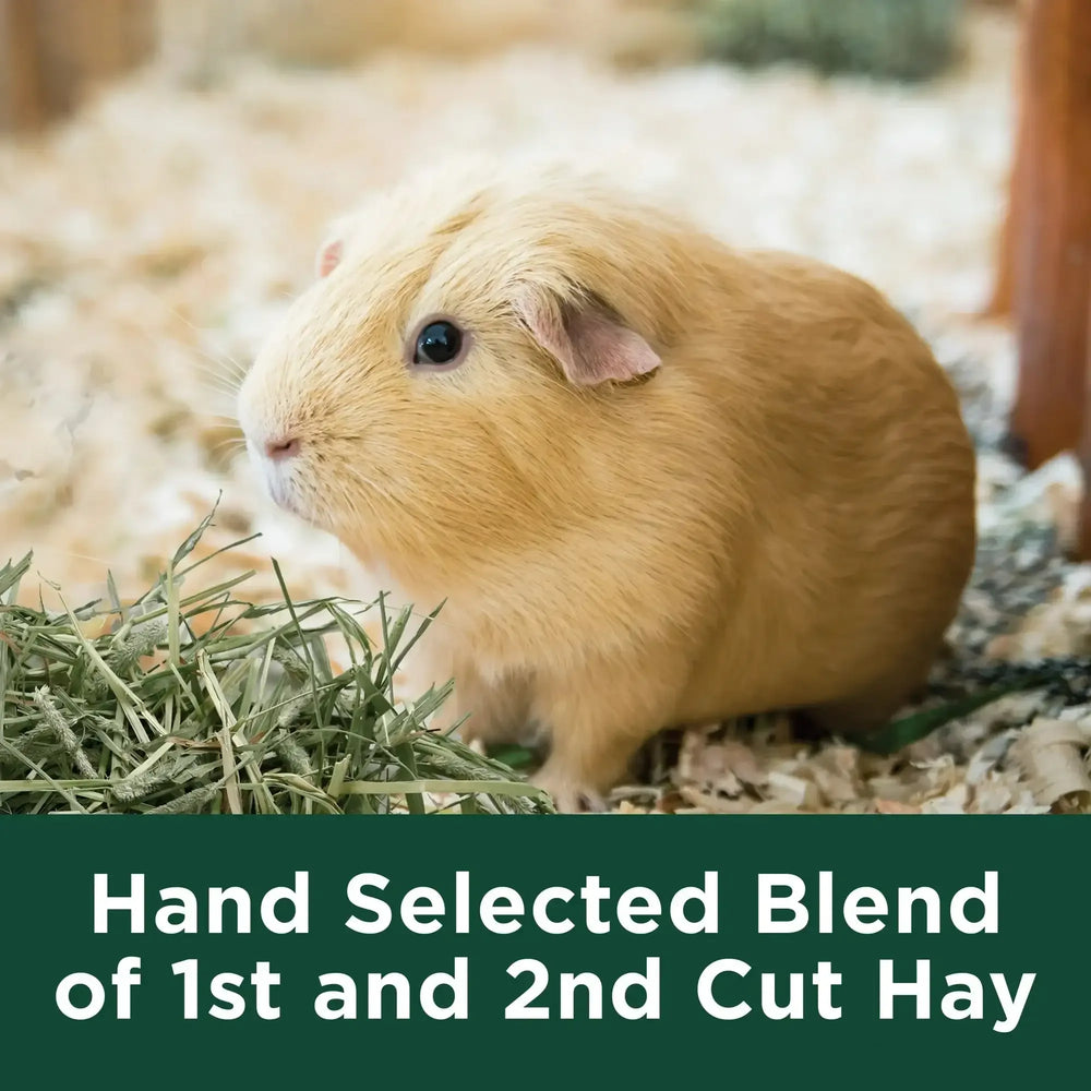 Kaytee Forti-Diet All Natural Timothy Hay , 96 ounce - USA MEGA SHOP
