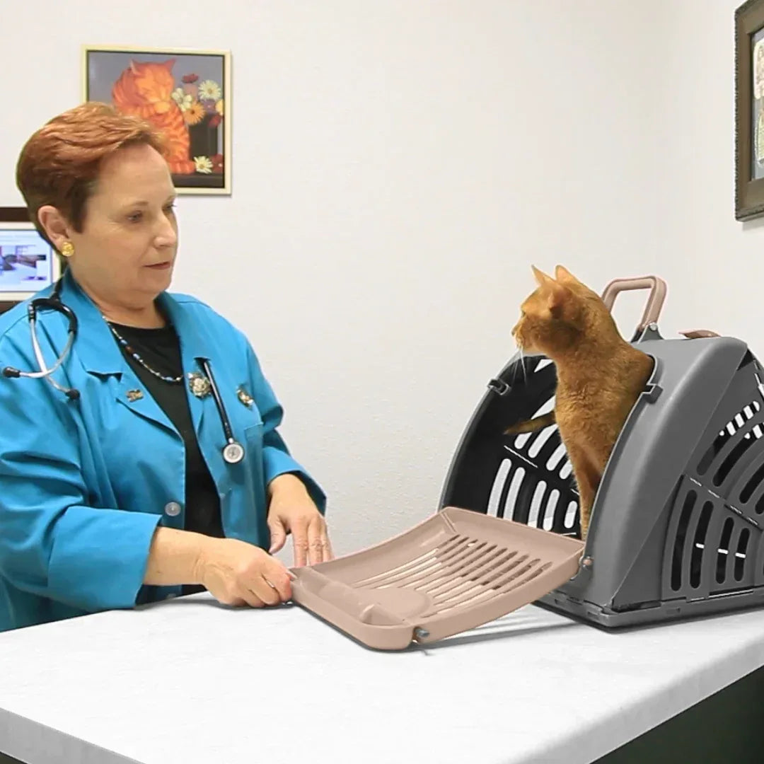 Sport Pet Designs Cat Carrier, Foldable Plastic, Medium, 25 lb Limit, Gray, 15.25" L x 18.5" W x 14.25" H - USA MEGA SHOP
