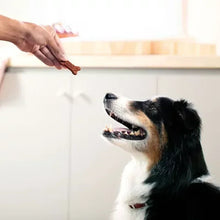 Dog licking a brown bone-shaped treat from a raised hand