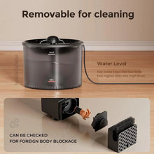 Pet water fountain with MAX/MIN markings and removable pump and filter parts