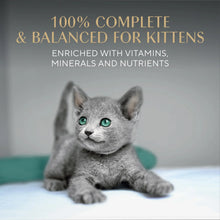 Sheba  kitten wet cat food product card with gray kitten on light background