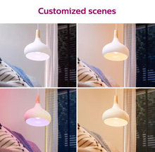Smart LED bulb pendant lights showing customized color scene variations (4 views)