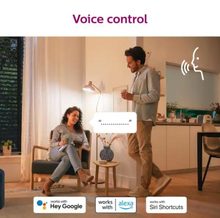 Smart LED bulb with voice control callouts above pendant lighting