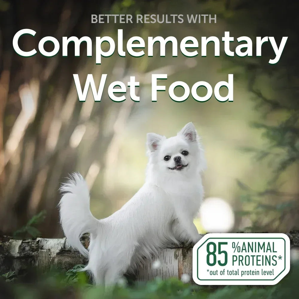 Nature's Protection Superior Care Tuna Fish Topper Wet Dog Food, Adult, 2.46 oz Pouch (24-Pack) - USA MEGA SHOP