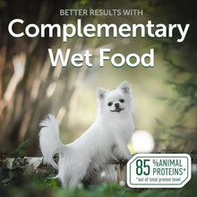 Complementary wet dog food featuring a small white dog and an animal proteins badge