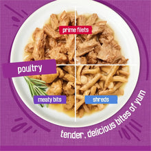 Purina Friskies poultry wet cat food in bowl: prime filets, meaty bits, shreds