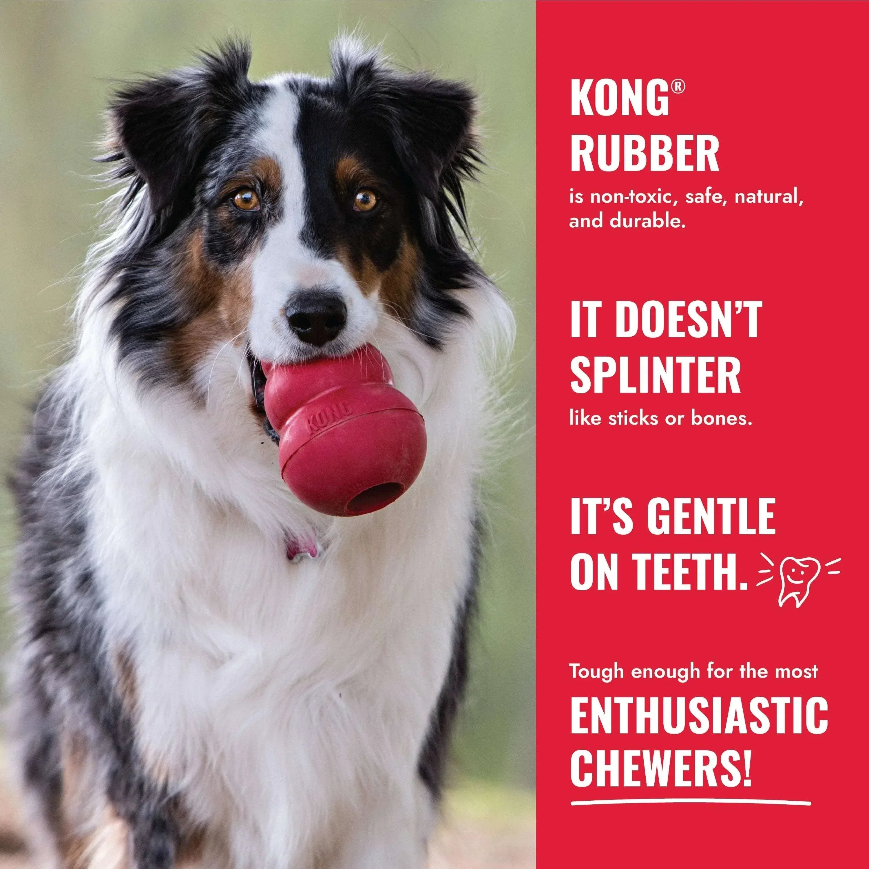 KONG® Ball Puncture Resistant Dog Toy for Average Chewers, Medium/Large, for Dogs Between 30-65 lbs