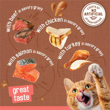 Wet cat food variety pack label with beef, chicken, turkey, salmon in savory gravy