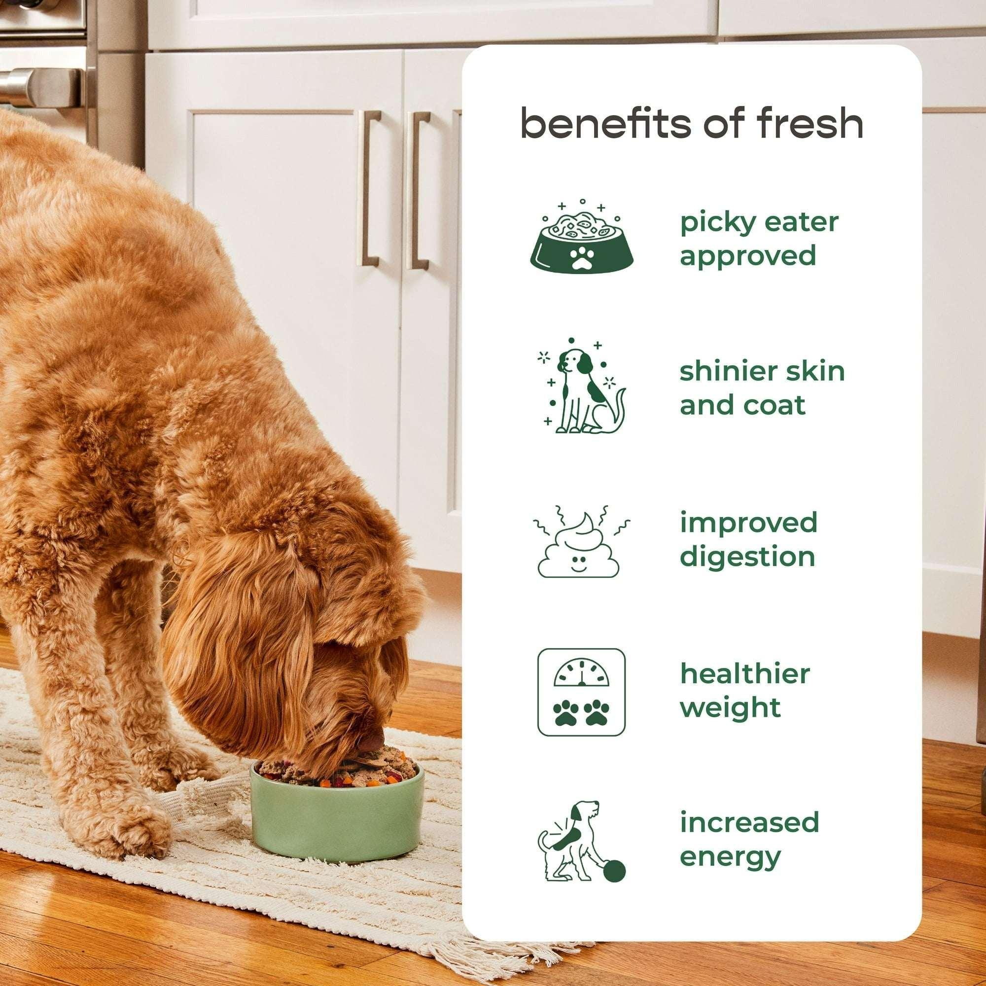 Freshpet Fresh Dog Food, Chunky Beef Recipe, Slice & Serve Roll, 6 lb.