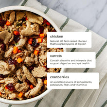 Bowl of home cooked chicken dog food with veggie pieces and ingredient info cards