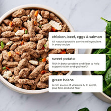 Bowl of multi-protein dog food with mixed chunks and vegetables
