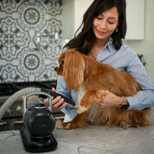Pet grooming vacuum tool with black main unit and clear dust chamber for dog coat