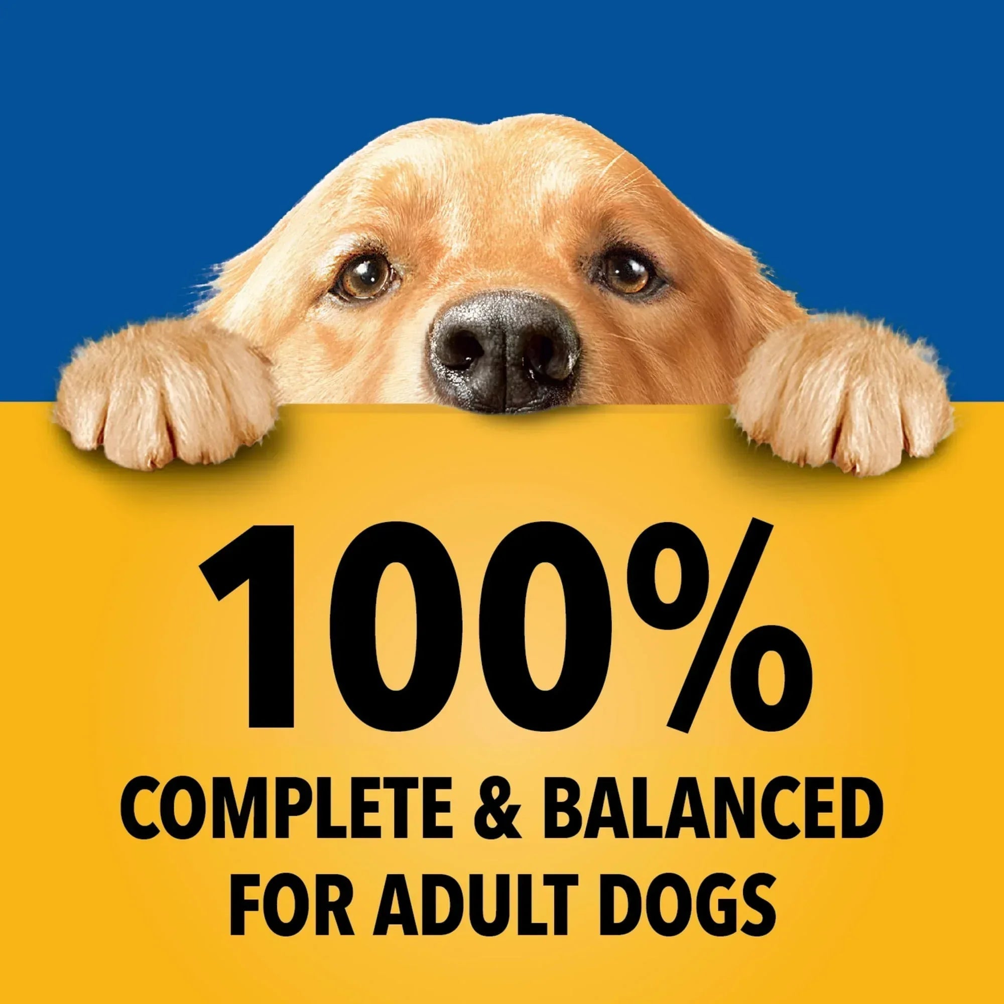 Pedigree Choice Cuts In Gravy Adult Soft Wet Dog Food Country Stew Flavor, 13.2 oz Cans, 12 Count