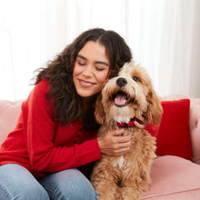 Person in a red sweater holding a small dog on a couch