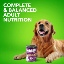 Golden retriever with IAMS Proactive Health wet dog food can, complete & balanced nutrition