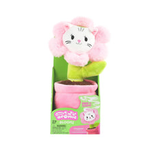 Cat flower plush fragrance toy in open box with pink pot and green leaves
