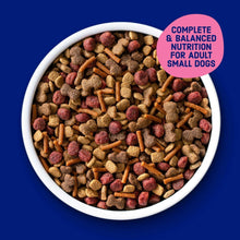 Small-breed dry dog food kibble mix in a bowl, mixed bite-sized pieces