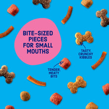 Bite-sized kibble pieces in bone shapes for small mouths
