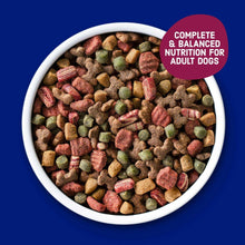 Bowl filled with dry dog kibble pieces in green, red, and brown