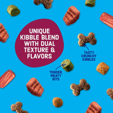 Scattered dry dog kibble pieces with mixed colors on a blue background