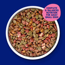 Dry dog kibble in a white bowl with mixed red and green pieces