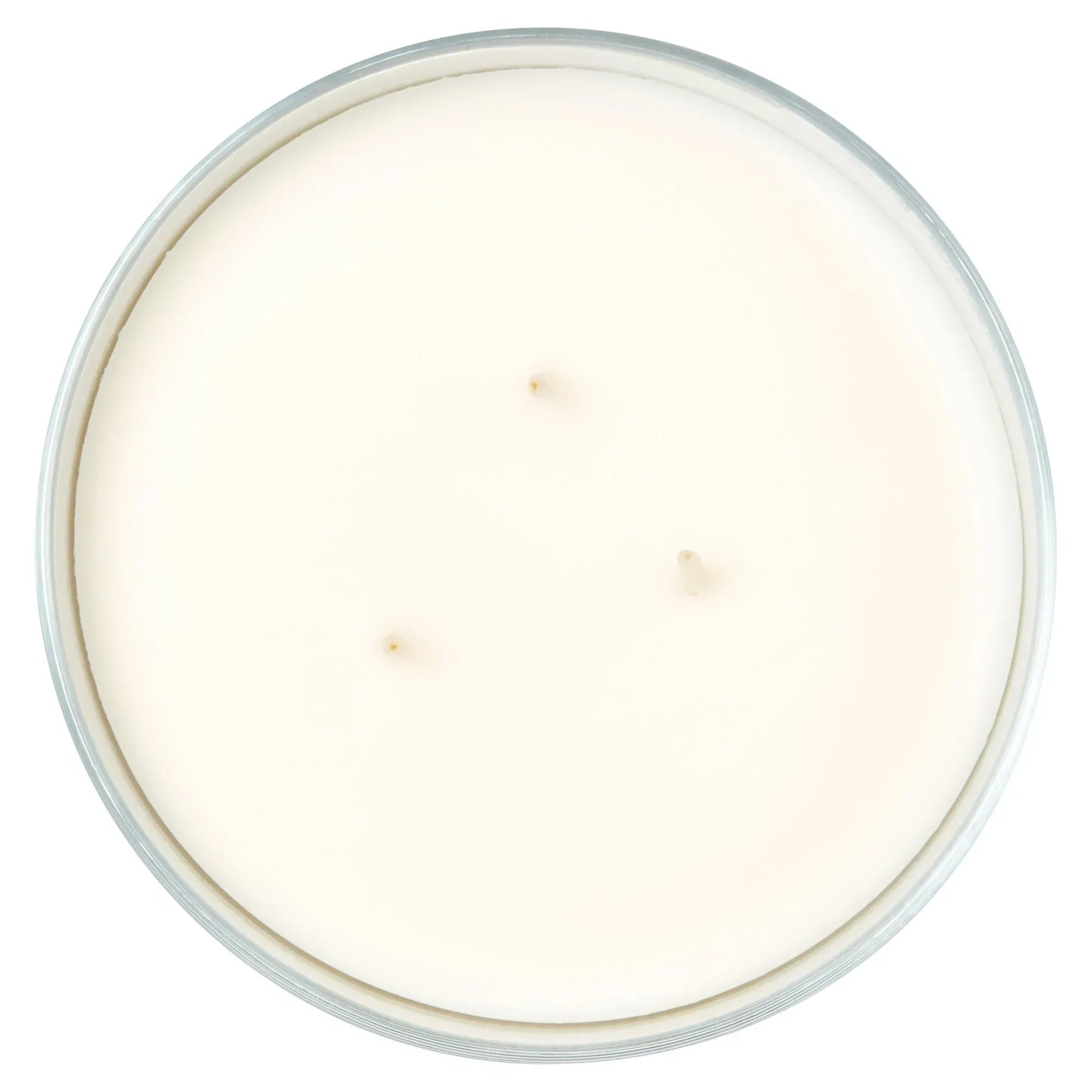 Mainstays 3-Wick Textured Wrapped Cozy Comfort Scented Candle, 14 oz