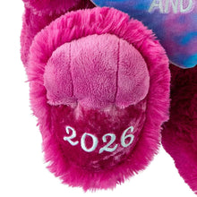 Pink teddy bear plush with 2026 patch on its belly