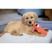 Orange plush dog toy with squeaker, held by a golden puppy on a blanket
